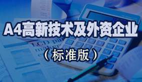 A4高新技术及外资企业(标准版)