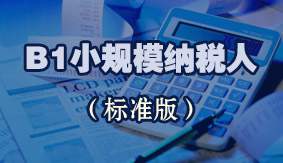 B1小规模纳税人(标准版)