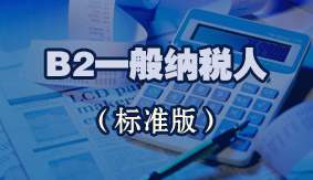 B2一般纳税人（标准版）