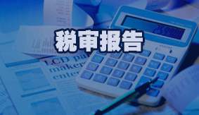 税审报告