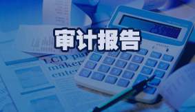 审计报告